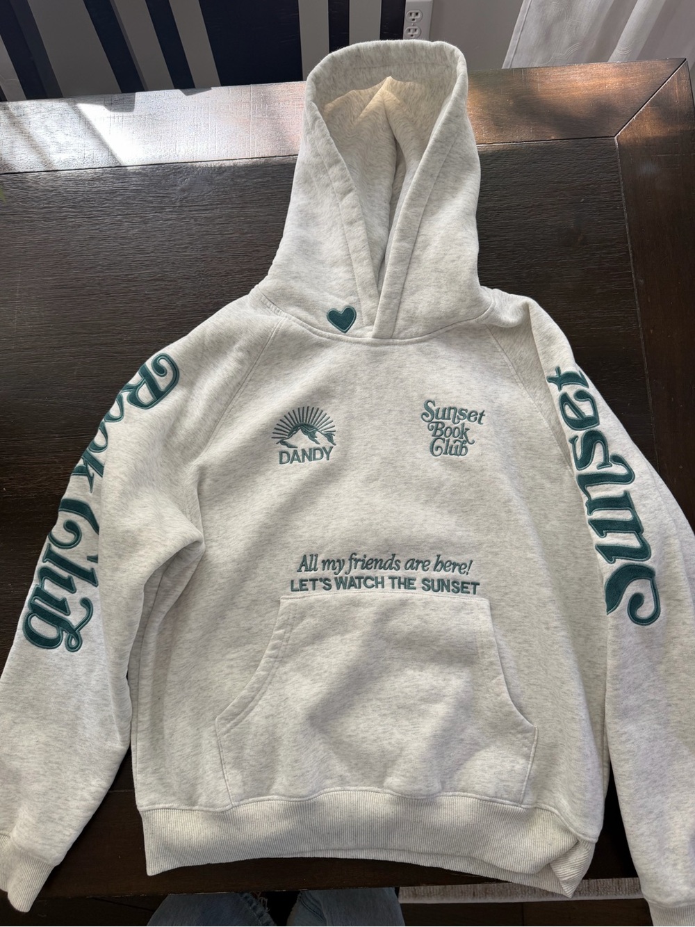 EUC Dandy Worldwide Sunset Book Club hoodie - xs